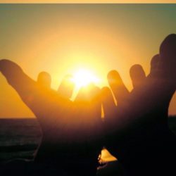 92f48eb7-4820-498e-910b-3b121831d372